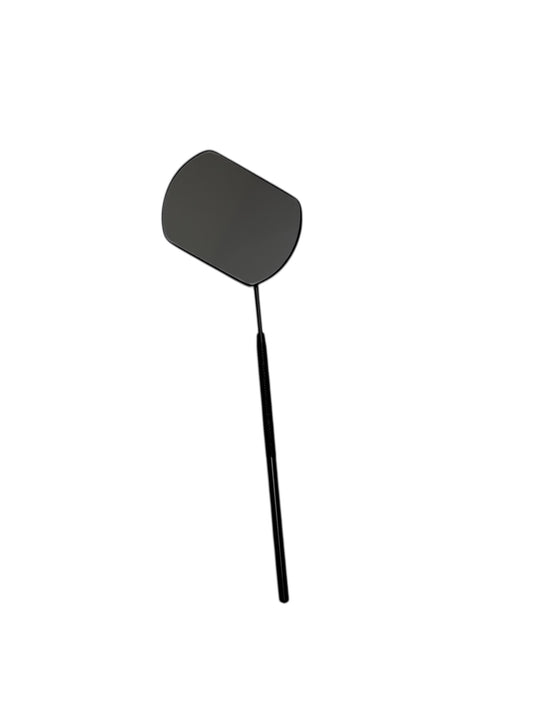 Lash Mirror